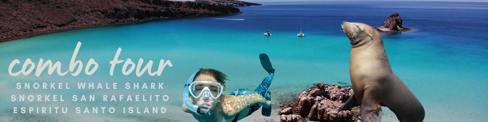 Snorkel Tiburón Ballena & Snorkel san Rafaelito & Snorkel Espíritu Santo