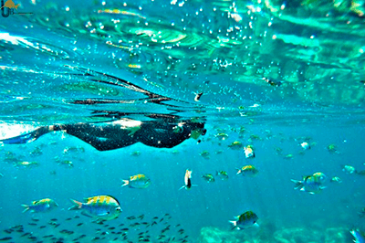Snorkel Isla Espíritu Santo